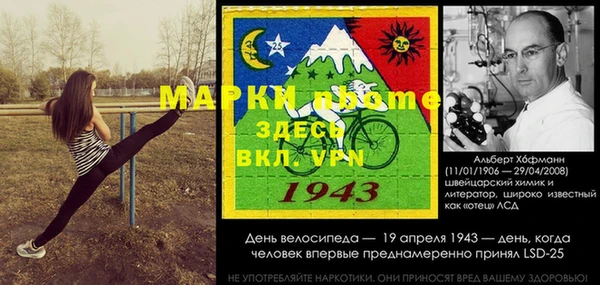 индика Белокуриха
