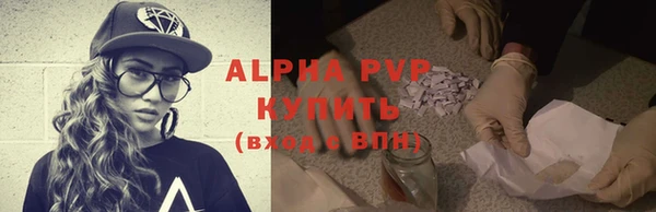индика Белокуриха
