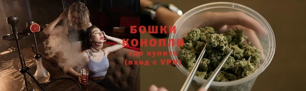 индика Белокуриха