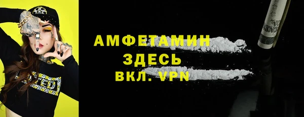 индика Белокуриха
