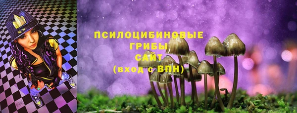 индика Белокуриха