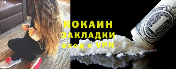 индика Белокуриха