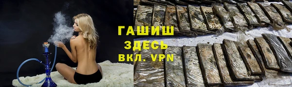 индика Белокуриха