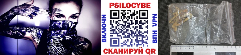 shop официальный сайт  Волхов  Галлюциногенные грибы GOLDEN TEACHER  где можно купить наркотик  blacksprut ТОР 